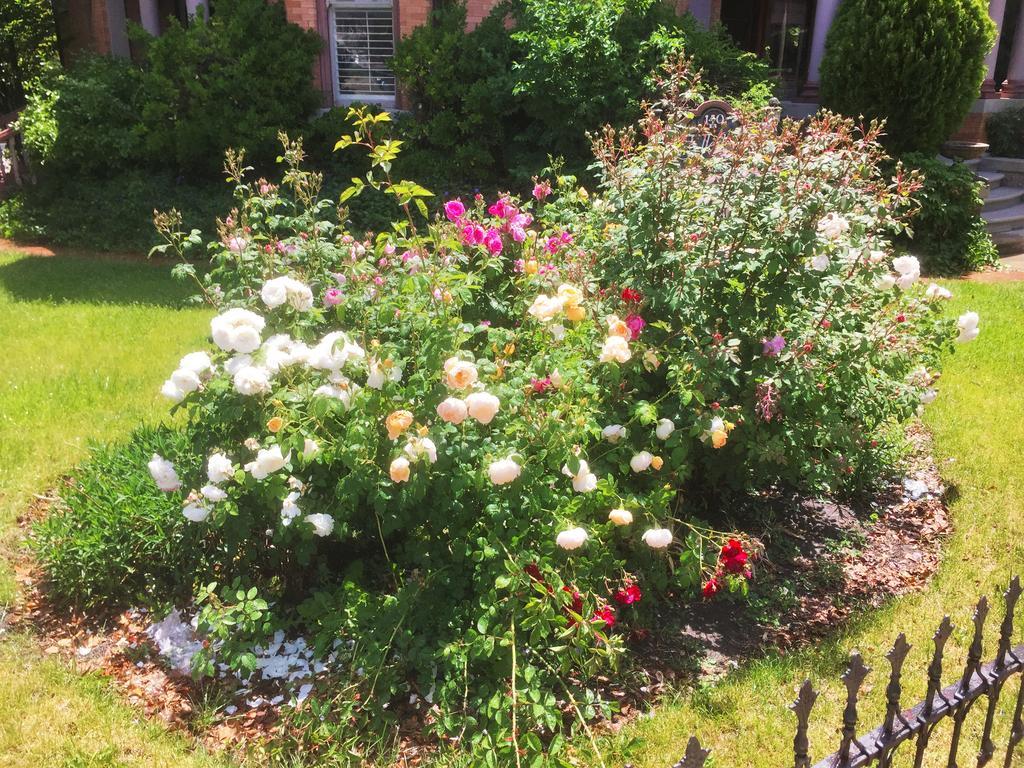 Historic Ellerbeck Mansion Bed & Breakfast 盐湖城 外观 照片